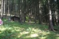 /album/fotogaleria-upratovanie-okolo-byvalej-drevenej-chatrce-pod-vrcholom-sokola/p1160341-jpg/