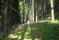 /album/fotogaleria-upratovanie-okolo-byvalej-drevenej-chatrce-pod-vrcholom-sokola/p1160342-jpg/